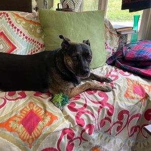 Meet your Posher, Patrick